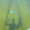 Vor Anker im April. Die Sonne brennt wie in der Karibik und das Wasser ist glasklar.