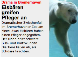 bild_eisbaer.png