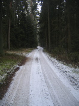 Der schoene Waldweg ;-)